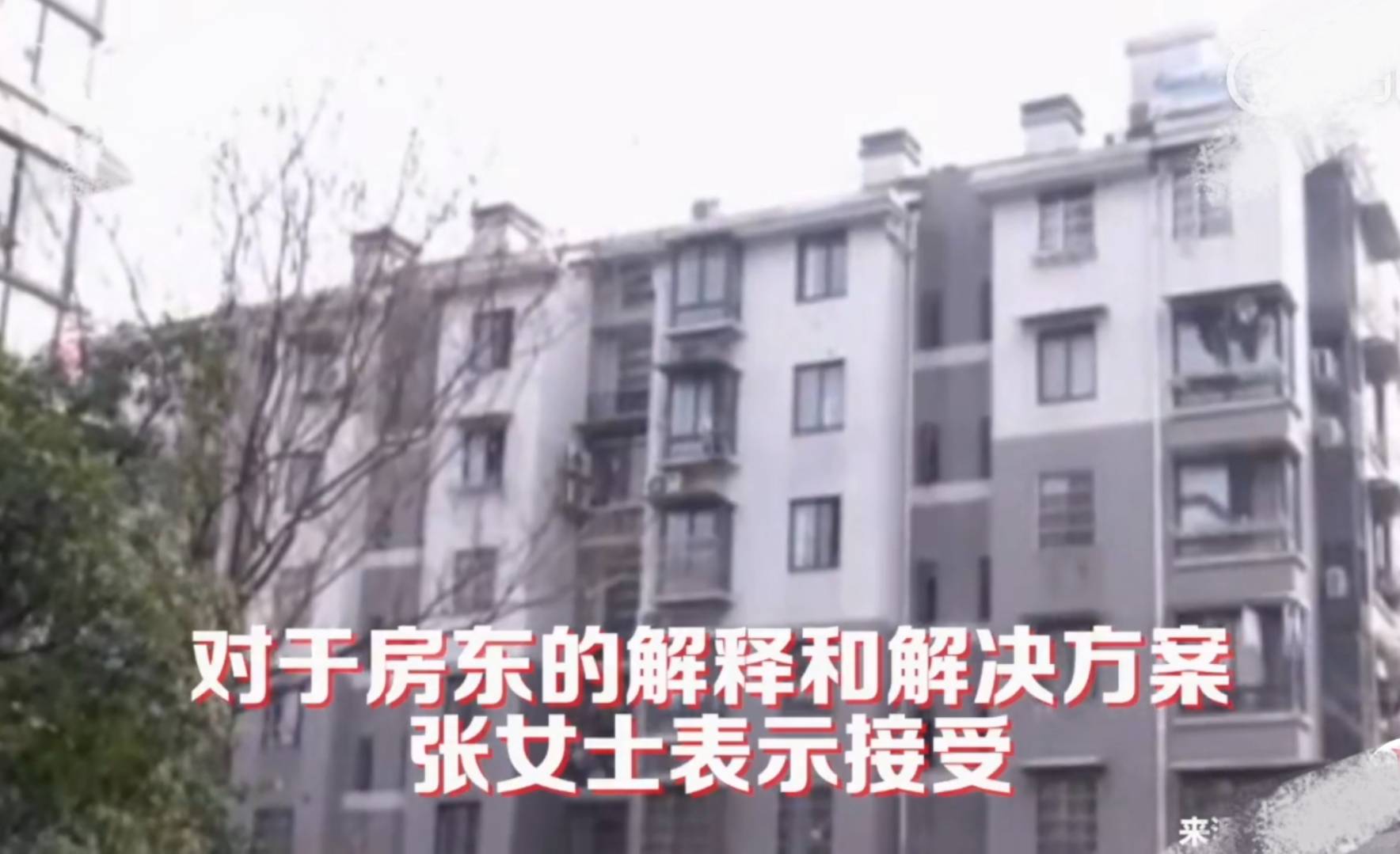 杭州怎么自己找房子 479965d638fe4356b7d57f511570d9d8.jpeg