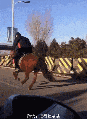 搞笑gif段子:妹子要是能出来钱的话,我能跪一年