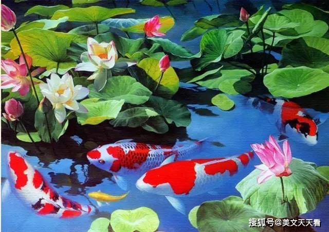 一大波锦鲤即将向你游过来~寓意吉祥,相传能为主人带来好运.