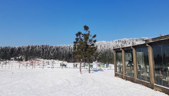 仙女山有什么好玩的地方