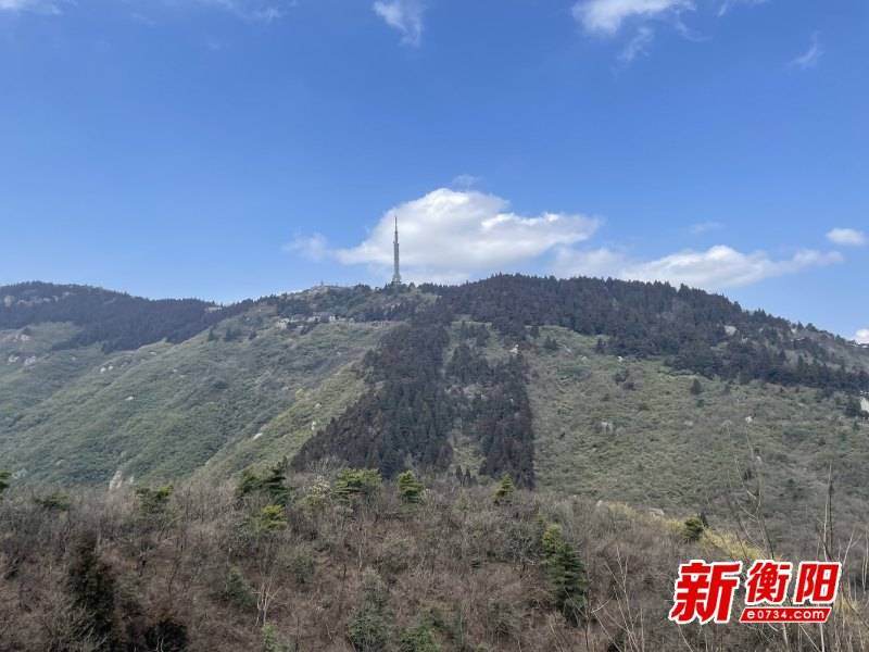 新春走基层：春节假期，文明出行成南岳衡山景区最美的风景