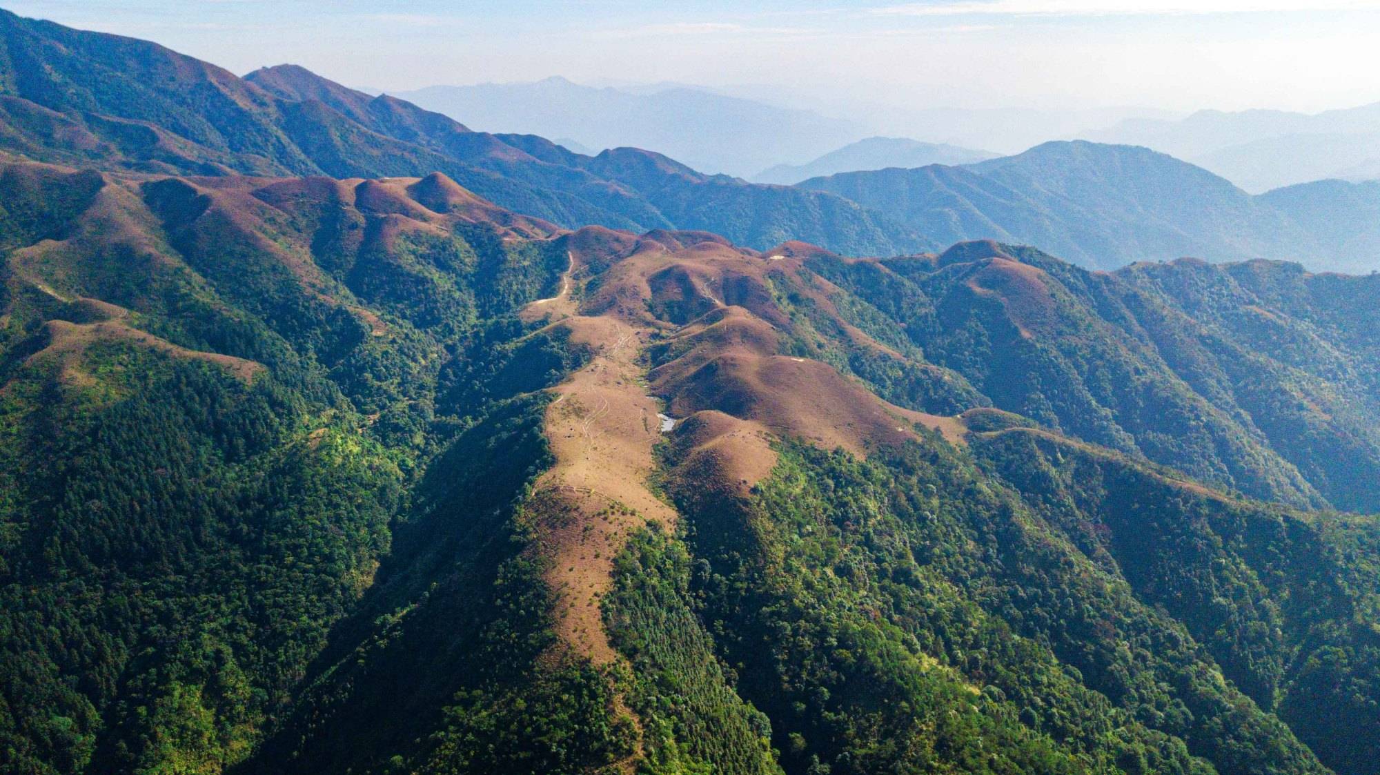 北方有呼伦贝尔大草原，粤西有鸡笼顶高山草甸，你想去玩吗？