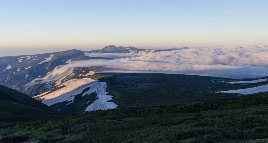 家电零售市场上的虾兵蟹将们又能怎么办?-家电圈官网