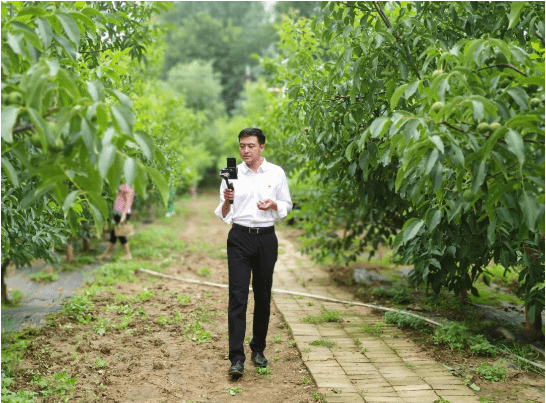 为了延长洛南核桃产业链,在杨明的指导下,县里注册"洛南核桃"地标产品