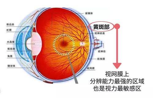 巩膜黄染分度图片图片