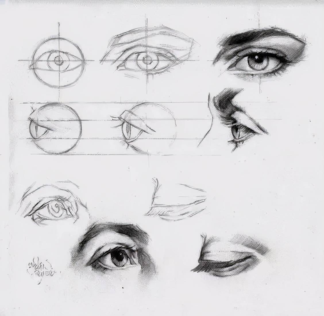 眼部解剖结构图 眼部解剖结构图高清