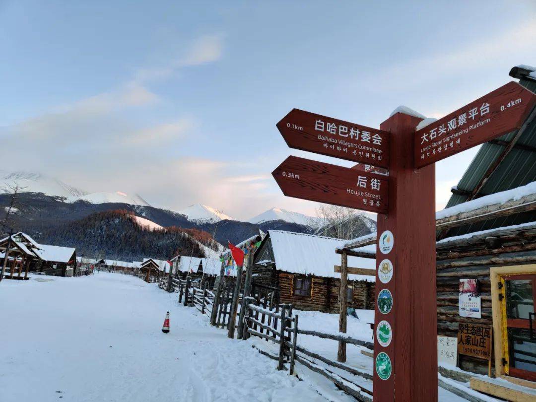 向往的旅居生活丨白哈巴·三百所民宿