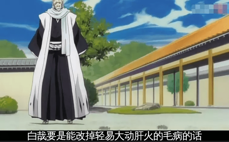 死神 冷言寡语的朽木白哉 其实少年时是一个爱炸毛的话痨 高冷