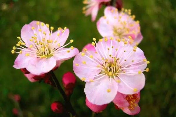 2021年容易大发横财的生肖,咸鱼翻身,生活富足