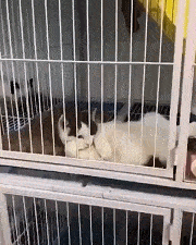 原创
松手后姑娘坚持不住三秒,果然没有猜错。