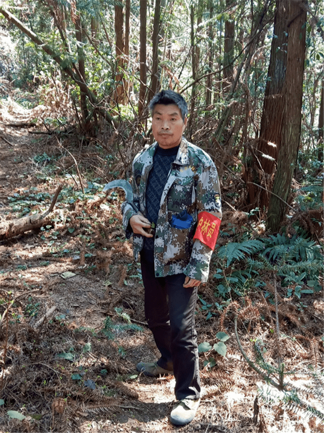 “我来为森林站岗……”花垣县生态护林员守护青山迎新春