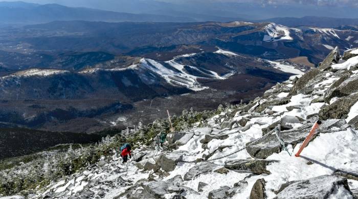 美容个护小家电的零售布局猜想，经销商们如何从中掘金？-家电圈官网