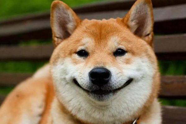 什么样的手有财有福气 c012428a9822455595253a901827bdb5.jpeg