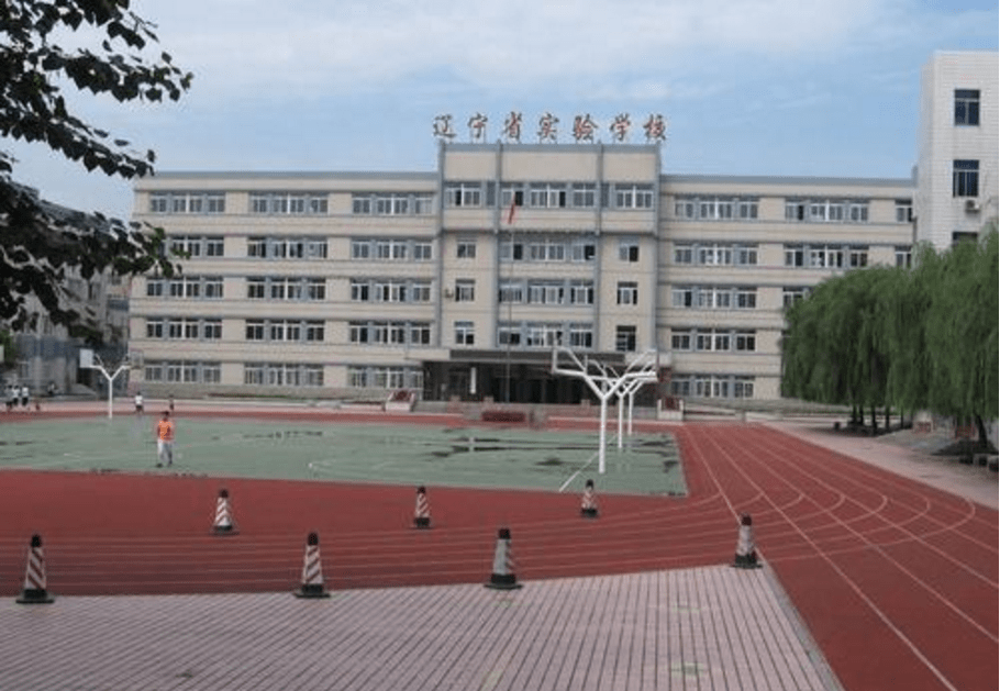 沈阳市 重点 小学排行榜,南京一校仅排第四,榜首出乎意料