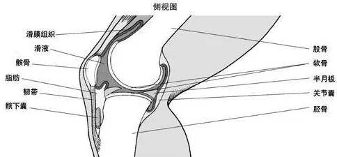 2985c99db7a3439d91f864ef0bb04d8c.jpeg