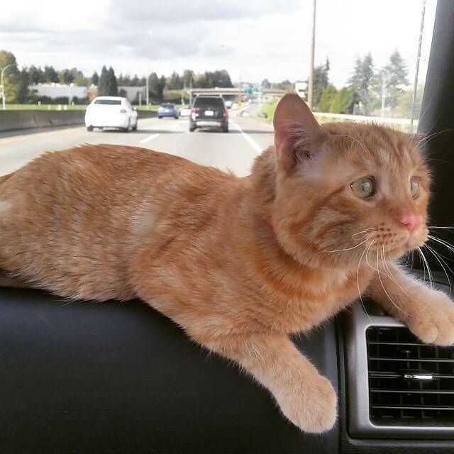5ed701b7912f43f091867e06c91e867e.jpeg