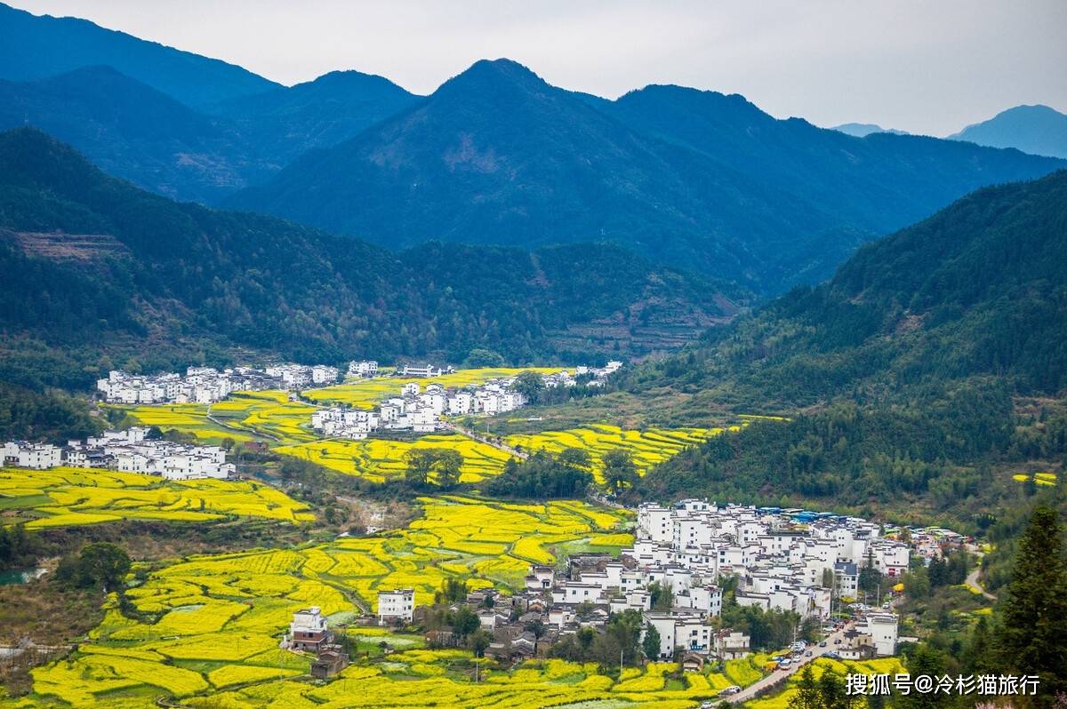 国内最美的15处油菜花海全在这里了 看看你去过几个 罗平 高菲马旅游攻略