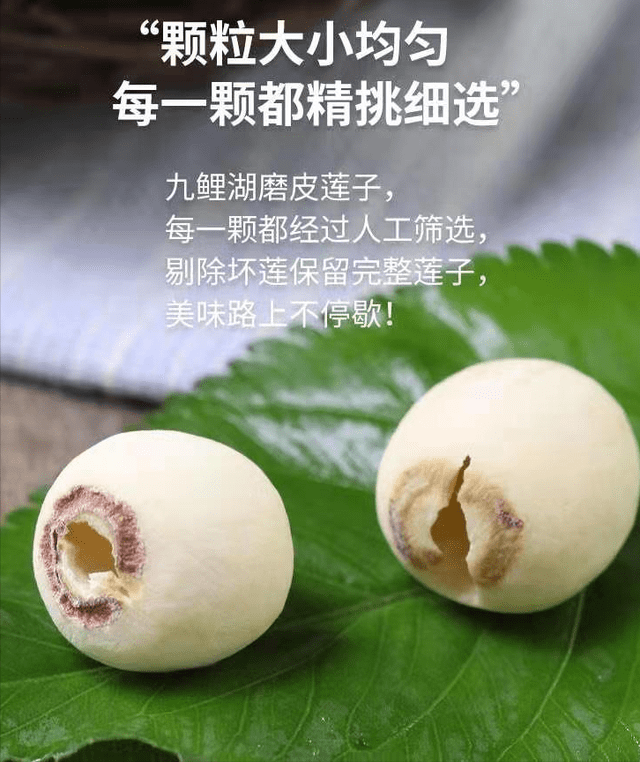 忙农活咯江西大叔种莲藕一年创造600多万元毛利,兴国莲藕大户