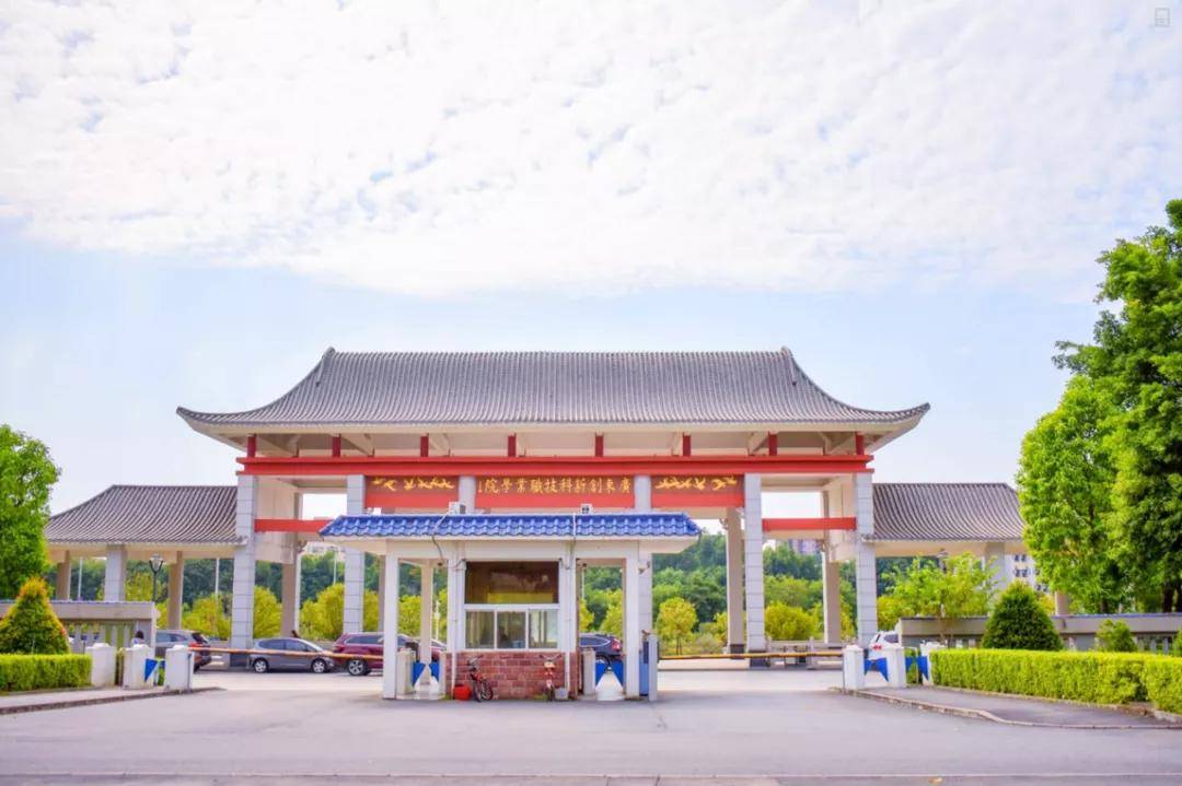 文章配图-96
