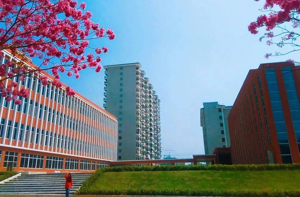 文章配图-97