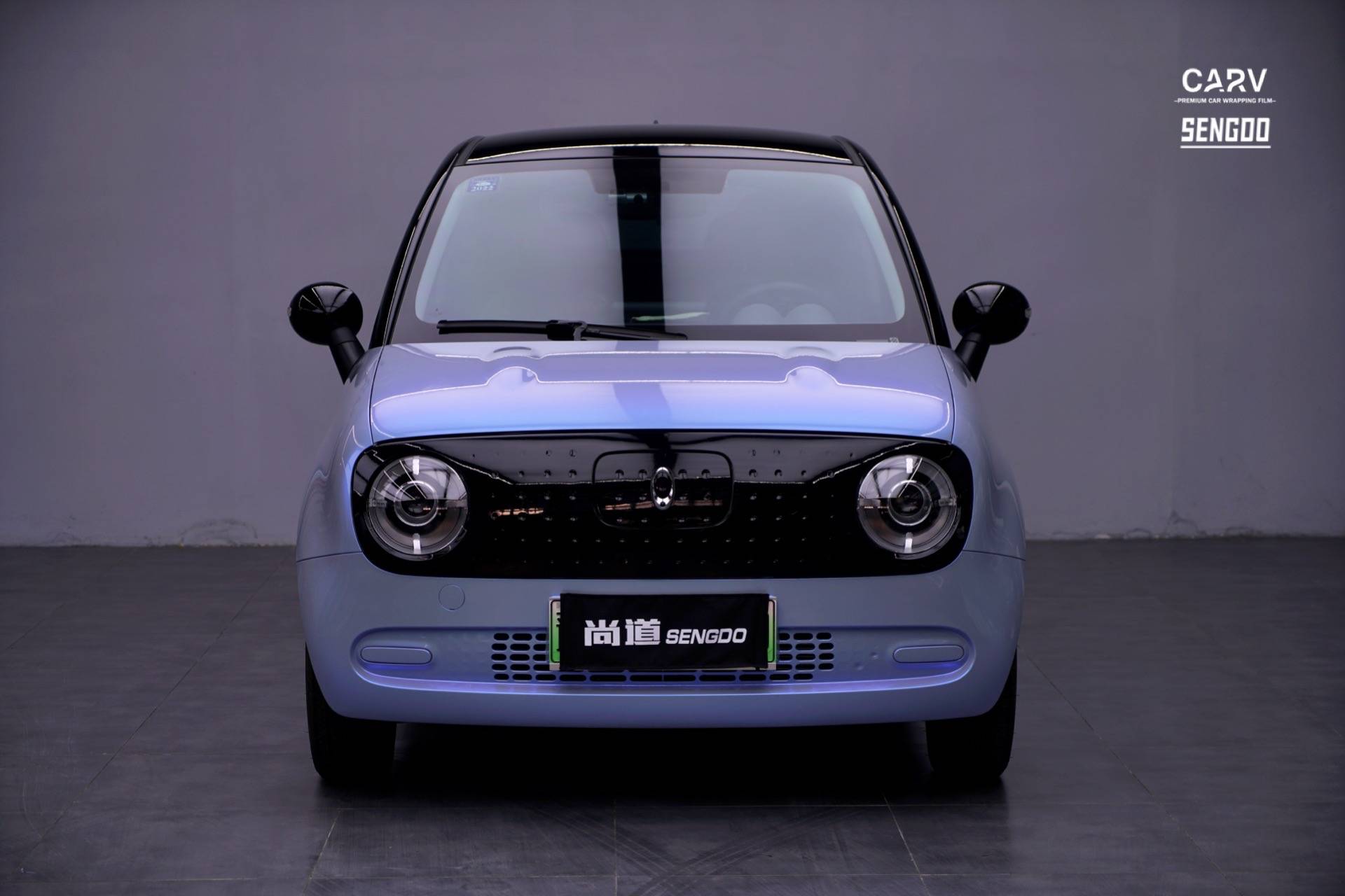 双色糖果灰6690 #欧拉黑猫