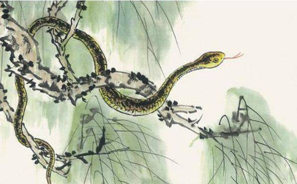 梦境探索，梦见与朋友共游却遇蛇的深层含义解析