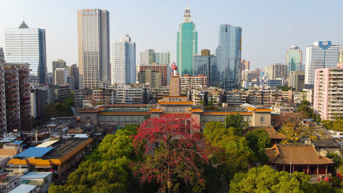 广州人口调查_广州人口分布示意图(2)
