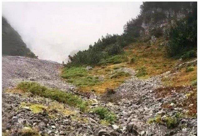 原创6张照片告诉你狙击手有多厉害？军迷：看了半个小时还是没看出来
