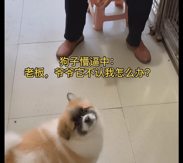 4876049f4e994b16906cfc37627f0034.png