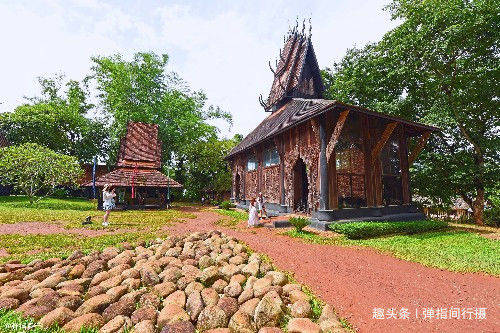 泰国“最特别”的寺庙，庙宇不供奉佛像，却陈列着各种动物标本