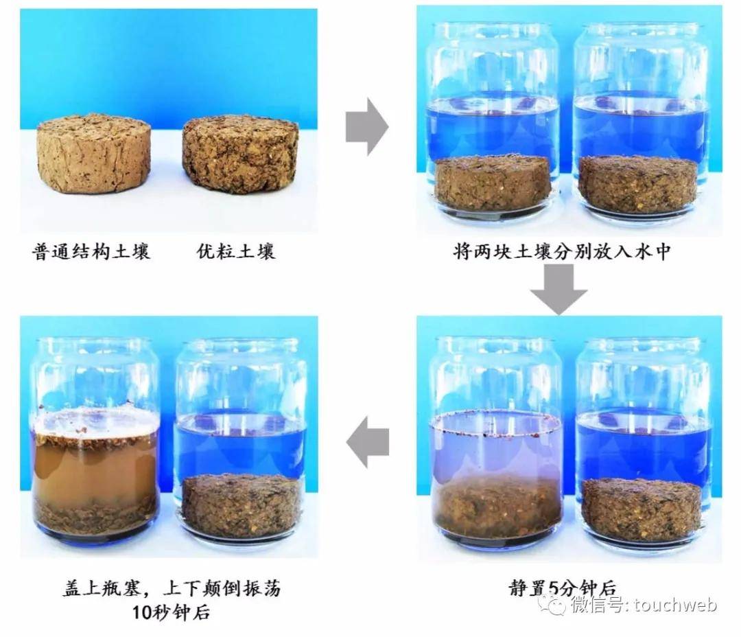 冠中生态深交所上市:市值55亿 为李春林许剑平夫妻店(图2)
