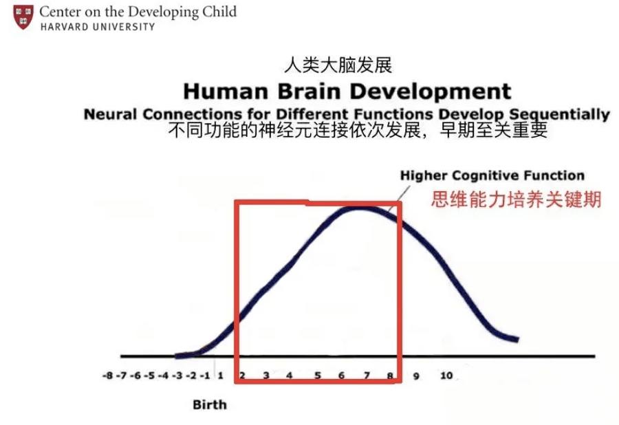 人类大脑发育曲线图图片