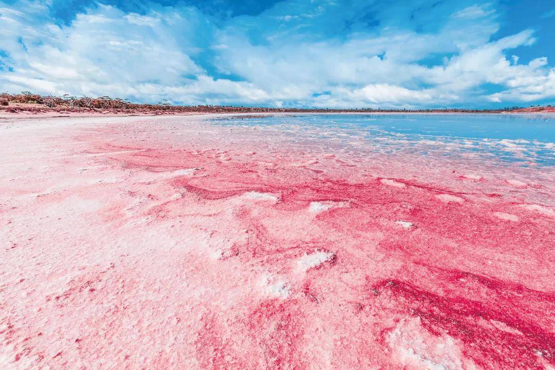 澳大利亚粉色盐湖