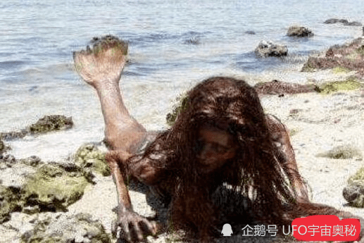 世界上有美人鱼没 2d07781fcee744e2901f7a651c57456d.png
