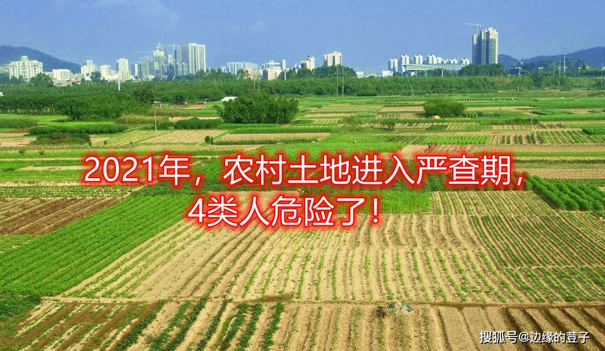 444056e991d04cb4928204c0a4bee0ac.jpeg