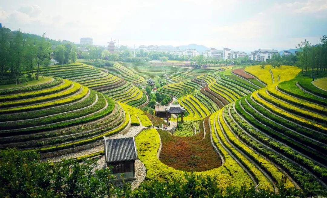 贵州丨全国唯一城市花海梯田、奢香古镇，过向往的生活！