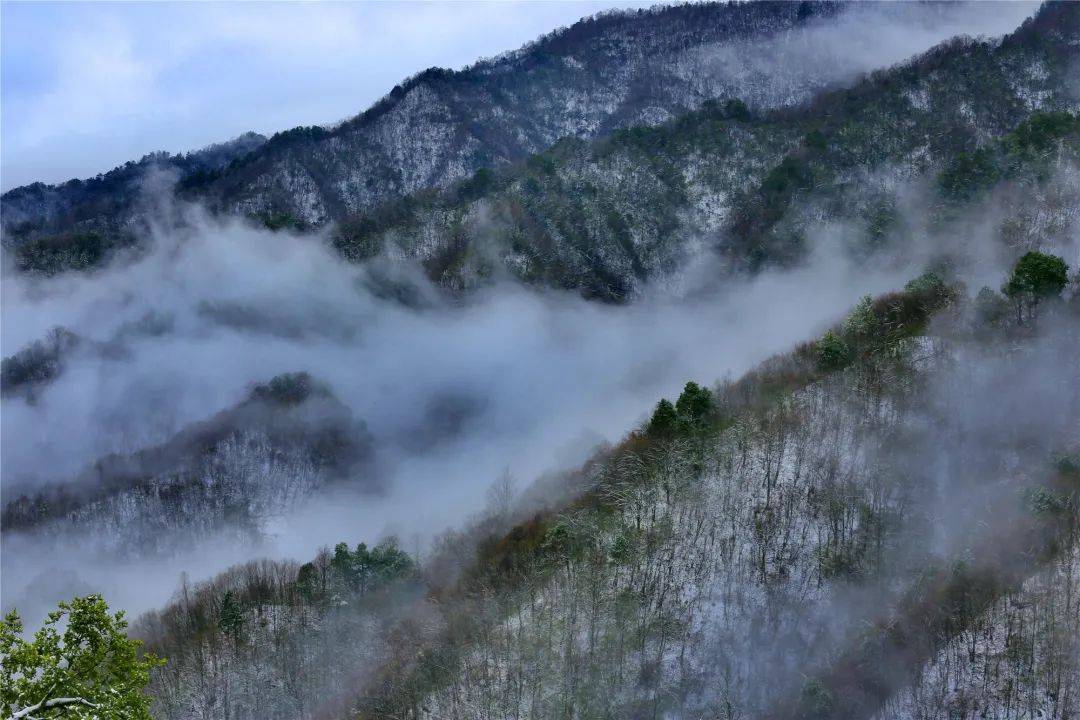 陕西平利:化龙山春雪云海,美如仙境