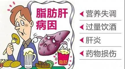 86a7b9053d54445babe5bcc8ce73a644.jpeg
