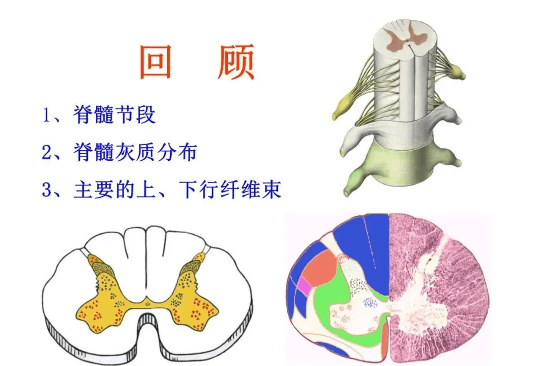b8883cfa14504e77a96e8bf4a44a599c.png