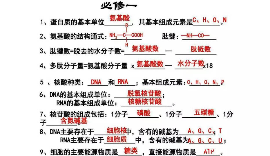 野生物简谱