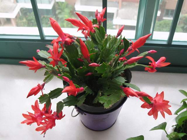 daf539b0fd1b46fb98f28d86dede922f.jpeg