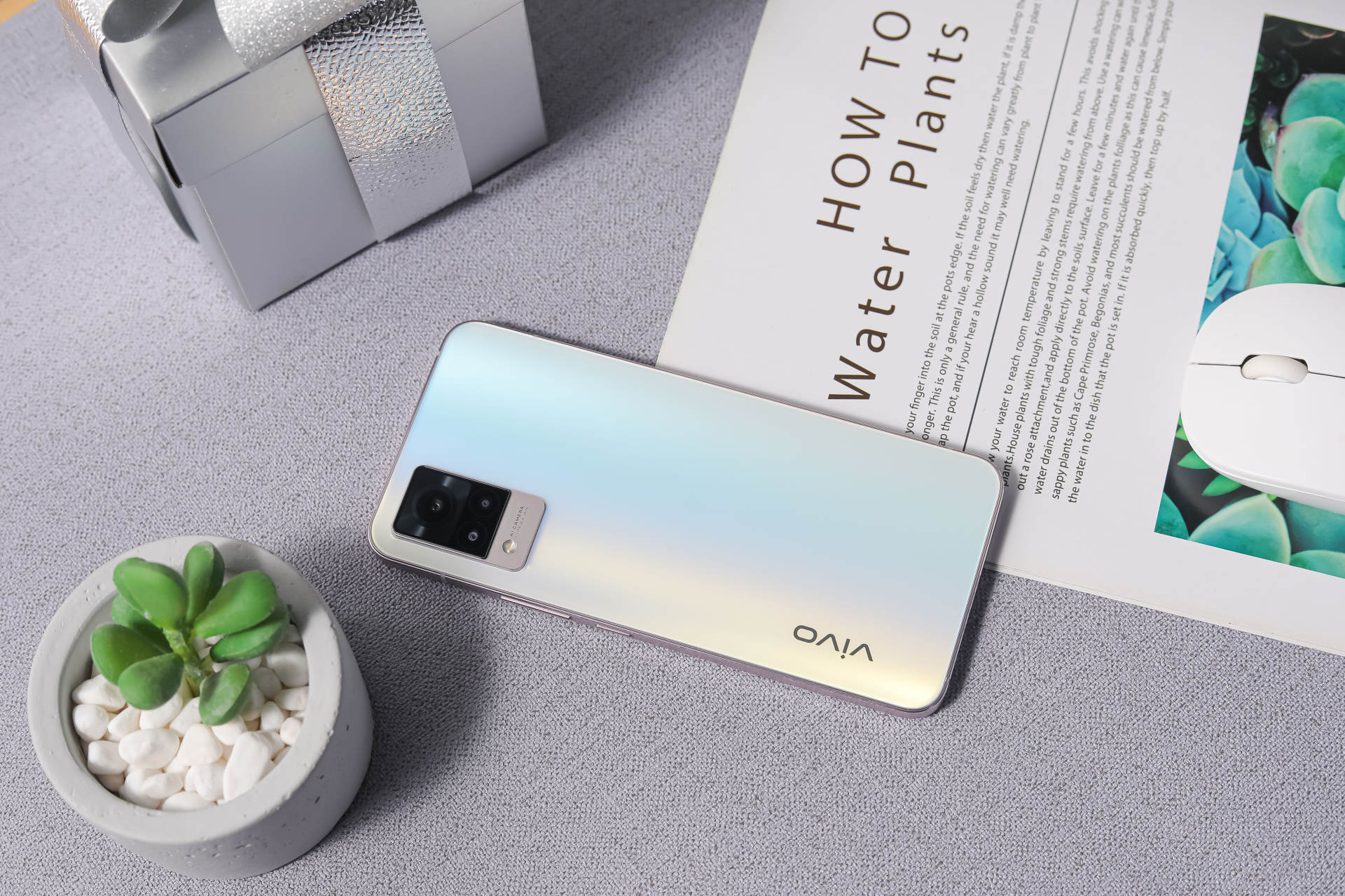 手机|超清影像实力？vivo S9不止于自拍，后置夜景、抓拍出彩