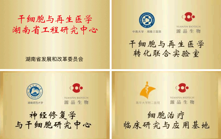 f537ccc173be4c61871d536d97fe260e.png