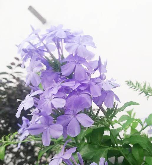 04ec2041d2df4ef6bb3b6b50f828b9d1.jpeg