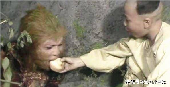 电视剧西游记孙悟空被压五行山 161d1588ce684f0ea7e82adce67a1980.jpeg