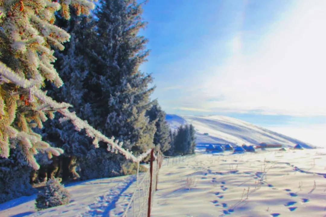 天山深处有个寂静而又温暖的“冬窝子”叫做阿克塔斯冬牧场