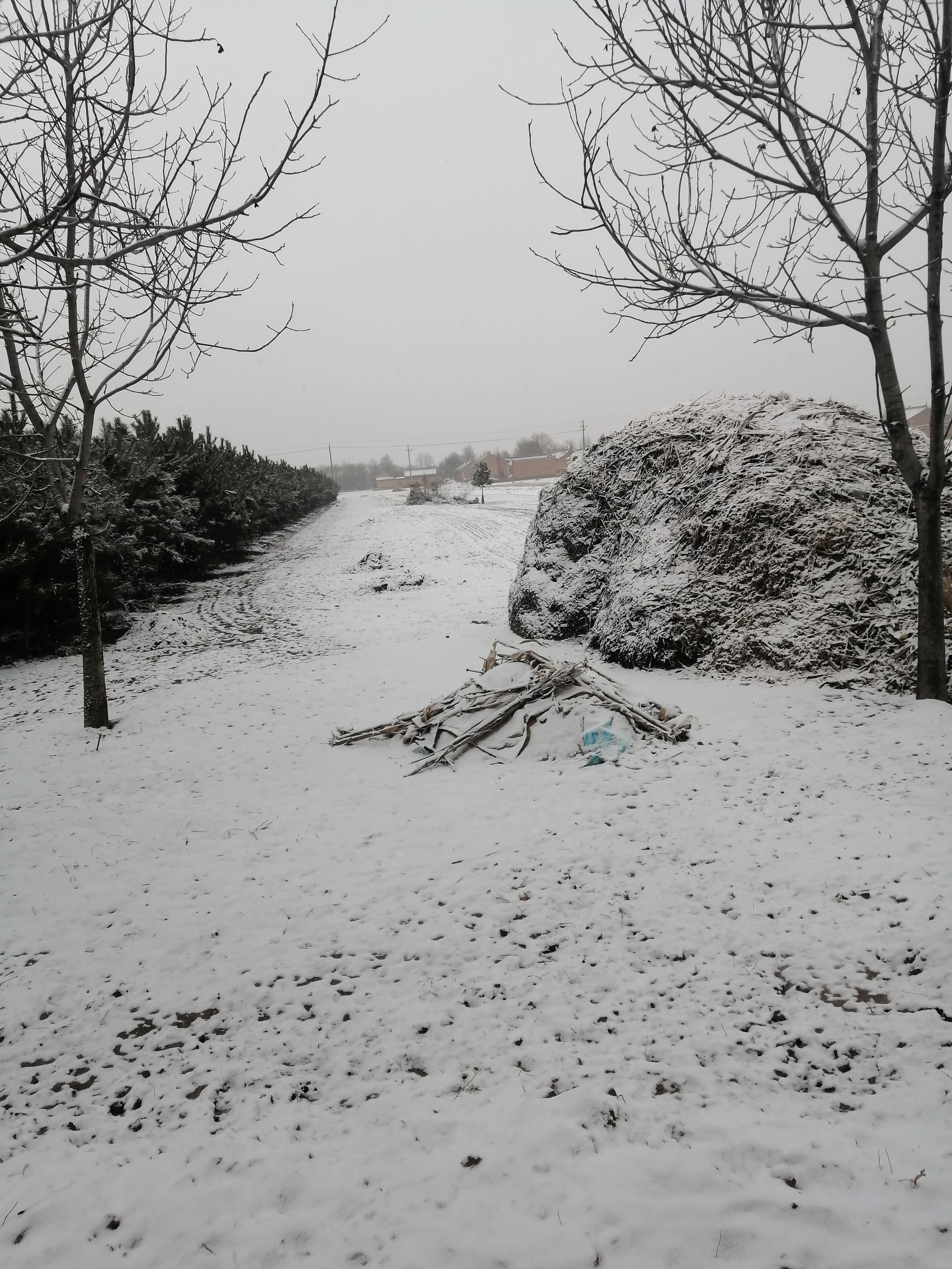 鄉下農村的大自然雪景