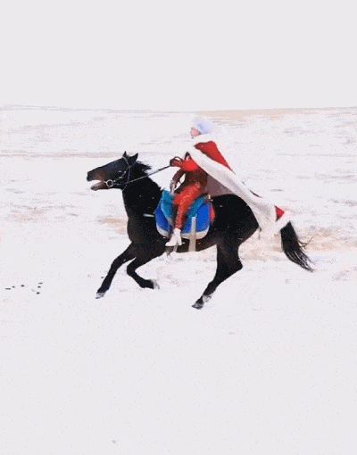 中国真实人口是机密吗_爱宠大机密兔子图片