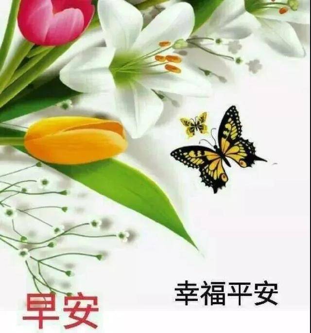 原創清晨問候大家的早安祝福帶字圖片早上好健康快樂祝福語錄