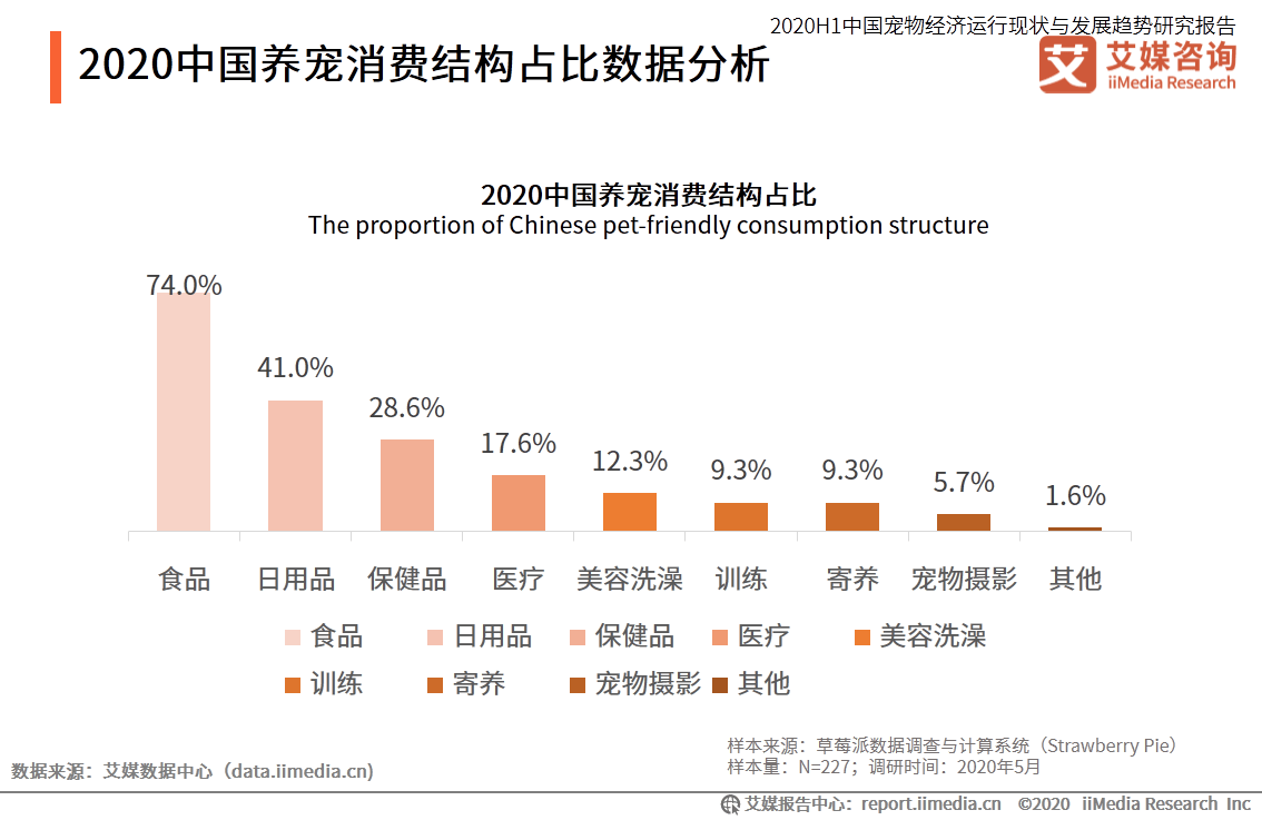 2020年宠物与GDP的关系_你回老家过年了,可2亿只猫猫狗狗谁来 包养